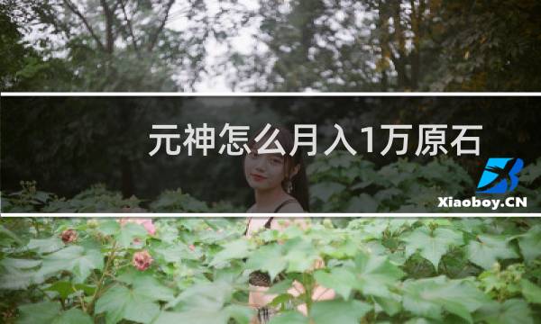 元神怎么月入1万原石