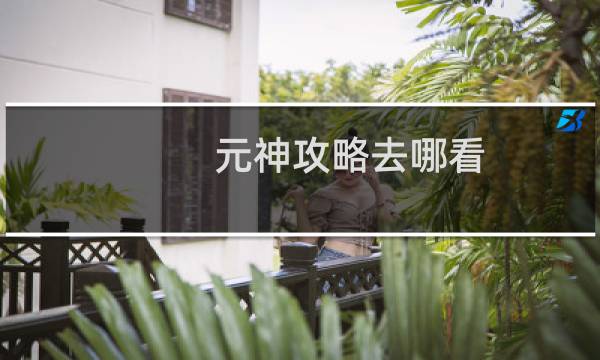 元神攻略去哪看