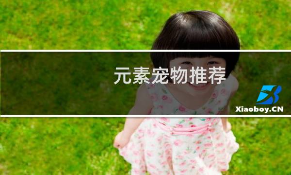 元素宠物推荐