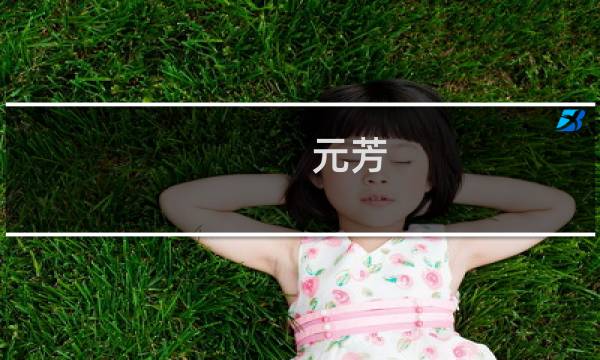 元芳 攻略