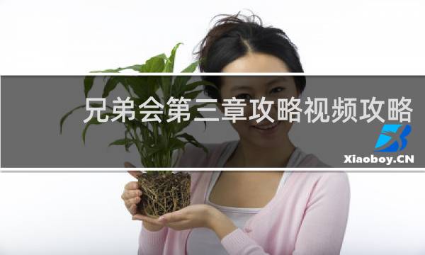 兄弟会第三章攻略视频攻略