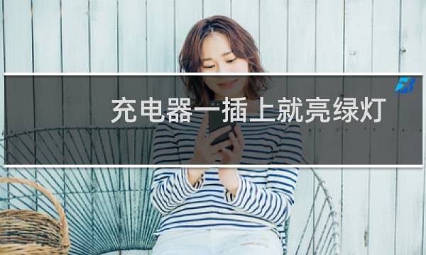 充电器一插上就亮绿灯