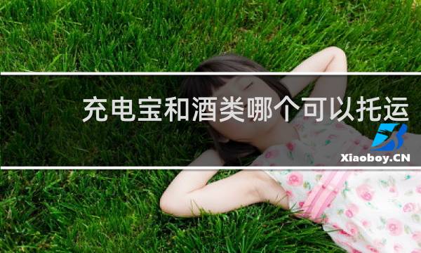 充电宝和酒类哪个可以托运