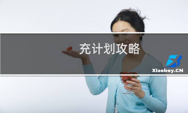 充计划攻略