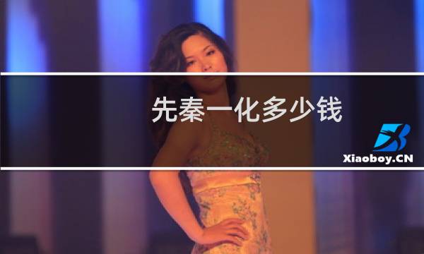 先秦一化多少钱