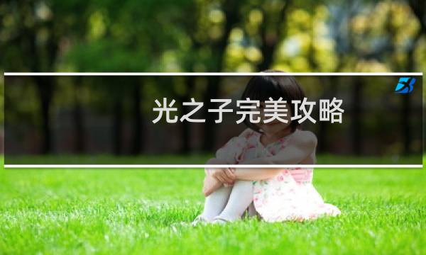 光之子完美攻略