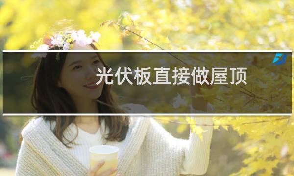 光伏板直接做屋顶