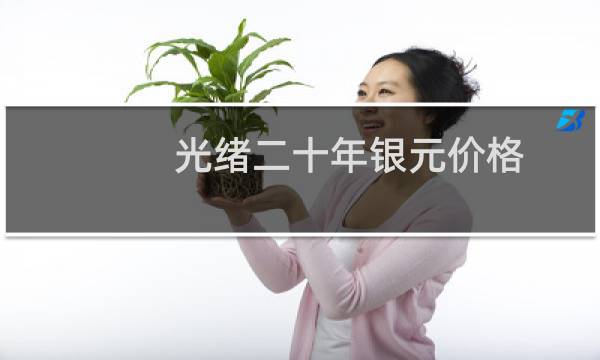 光绪二十年银元价格