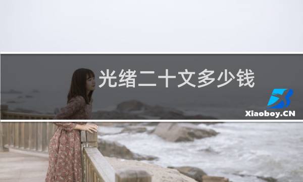光绪二十文多少钱