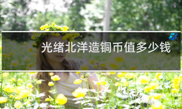光绪北洋造铜币值多少钱