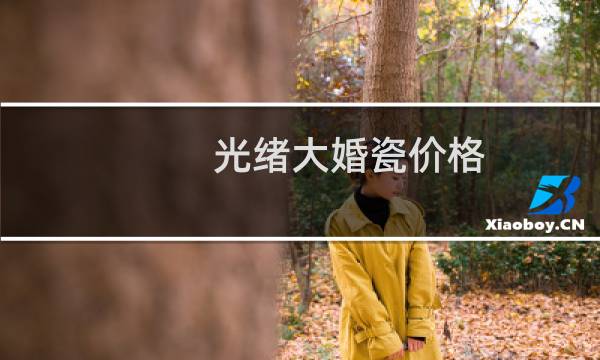 光绪大婚瓷价格