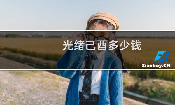 光绪己酉多少钱