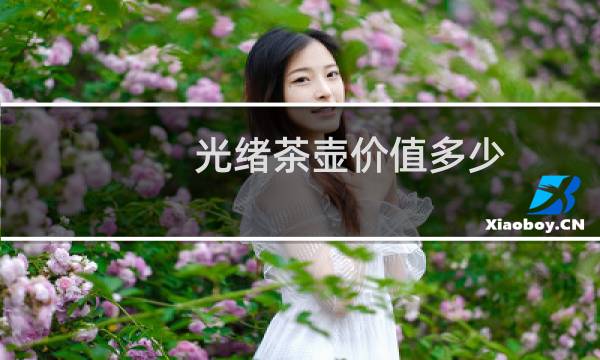 光绪茶壶价值多少