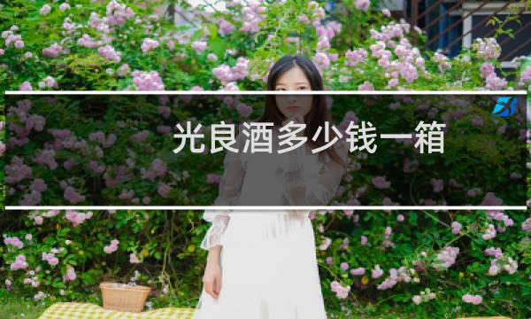 光良酒多少钱一箱