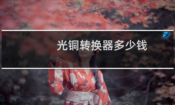 光铜转换器多少钱