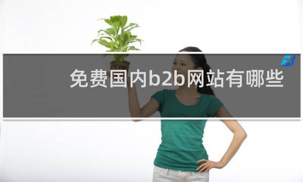免费国内b2b网站有哪些