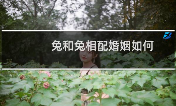 兔和兔相配婚姻如何