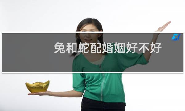 兔和蛇配婚姻好不好