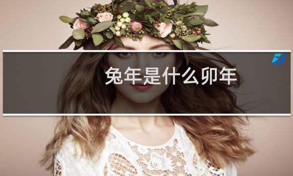 兔年是什么卯年