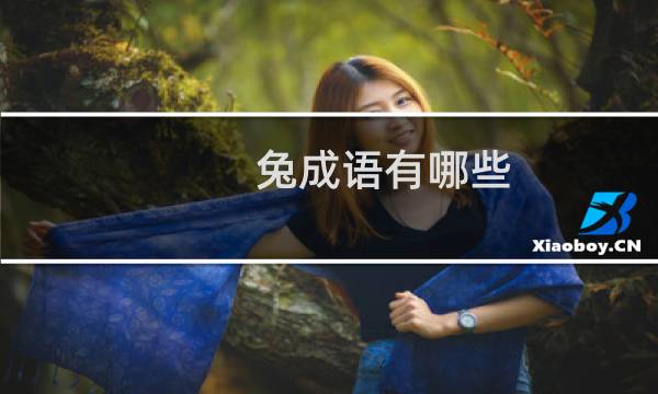 兔成语有哪些