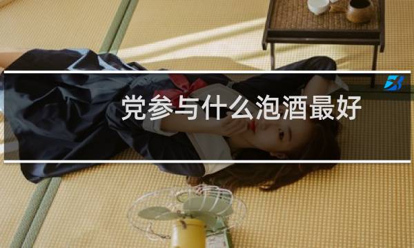 党参与什么泡酒最好