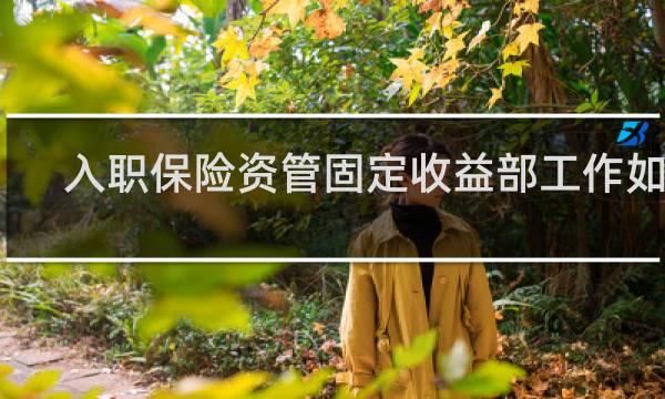 入职保险资管固定收益部工作如何