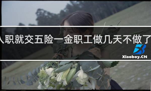 入职就交五险一金职工做几天不做了怎么办