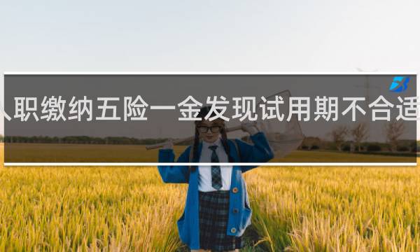 入职缴纳五险一金发现试用期不合适怎么办