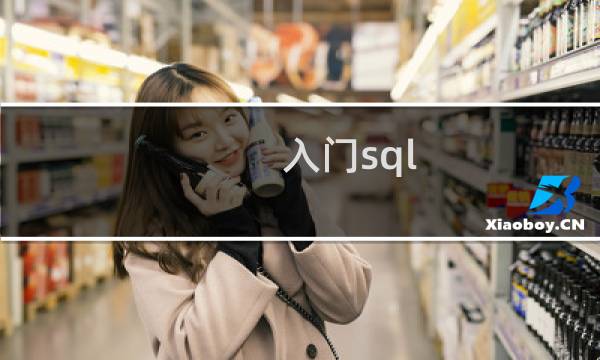 入门sql