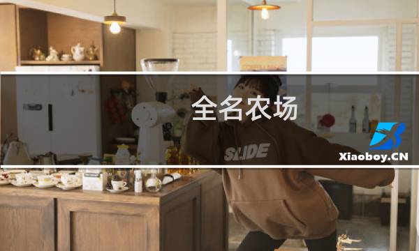 全名农场 攻略