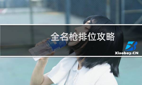 全名枪排位攻略