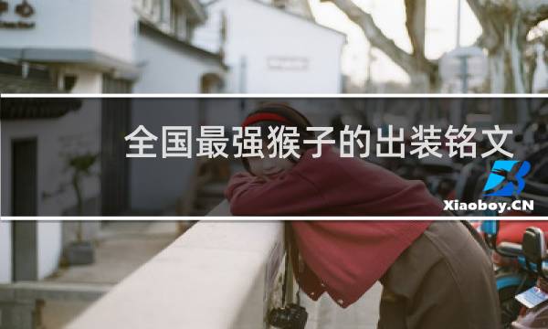 全国最强猴子的出装铭文