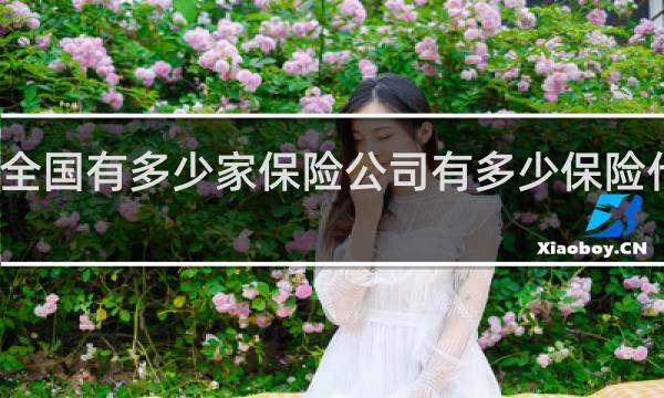 全国有多少家保险公司有多少保险代理人