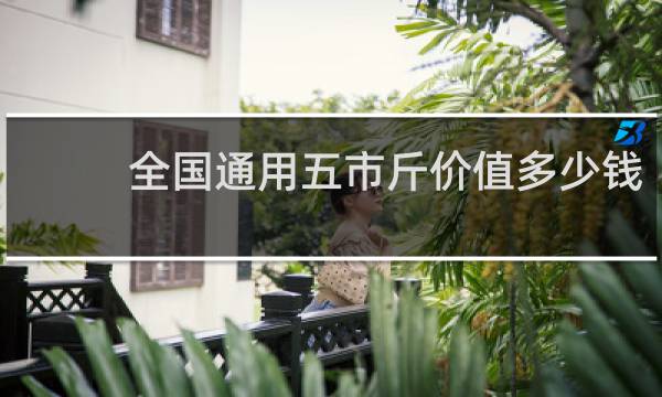 全国通用五市斤价值多少钱