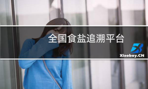 全国食盐追溯平台