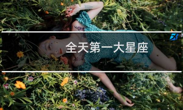 全天第一大星座