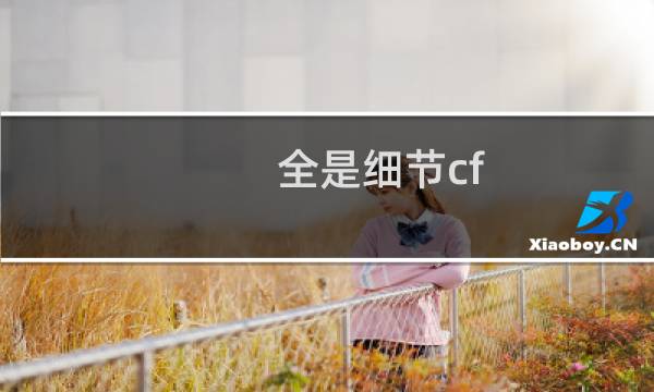 全是细节cf