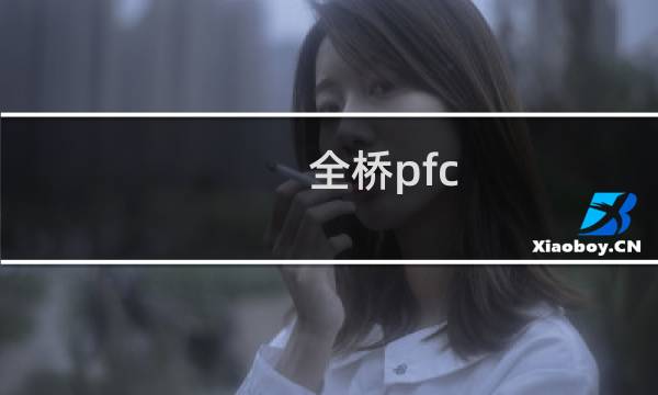 全桥pfc