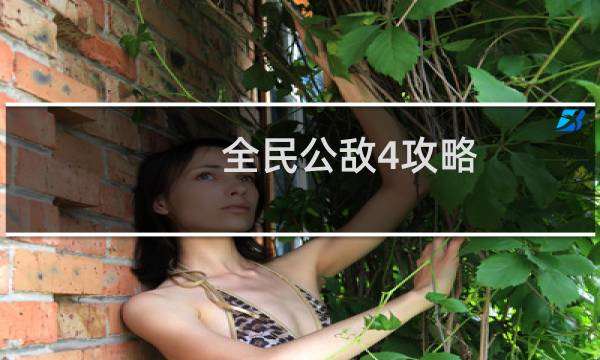 全民公敌4攻略