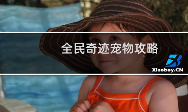 全民奇迹宠物攻略