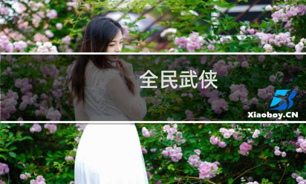 全民武侠 攻略