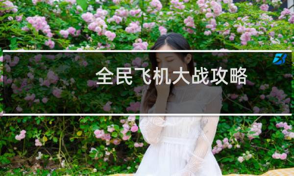 全民飞机大战攻略.