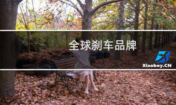 全球刹车品牌