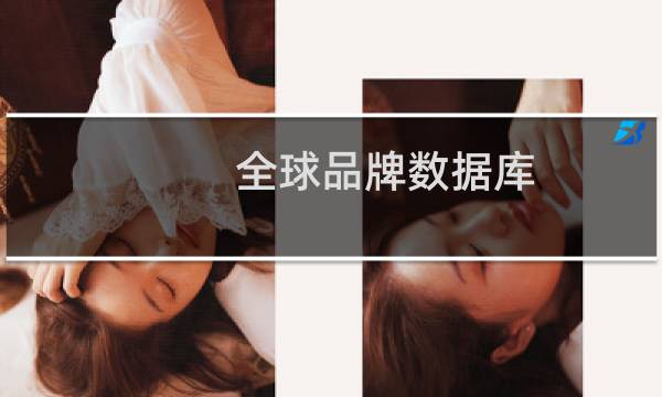 全球品牌数据库