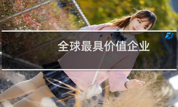 全球最具价值企业