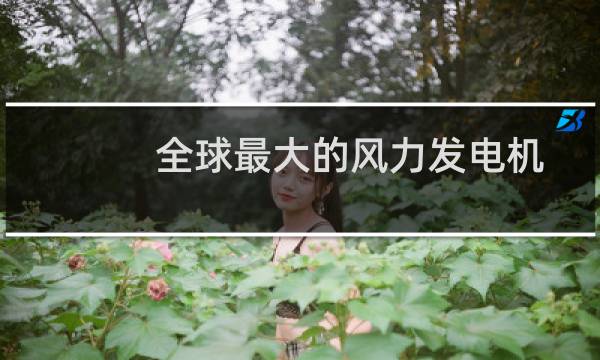 全球最大的风力发电机