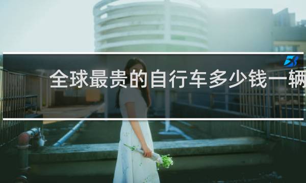 全球最贵的自行车多少钱一辆