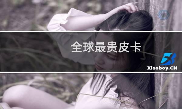 全球最贵皮卡