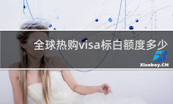 全球热购visa标白额度多少
