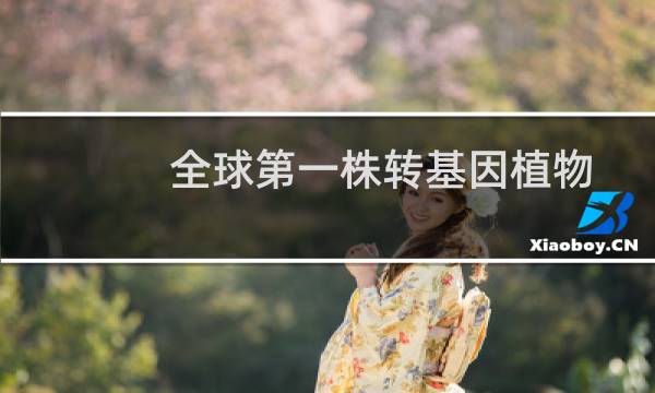 全球第一株转基因植物